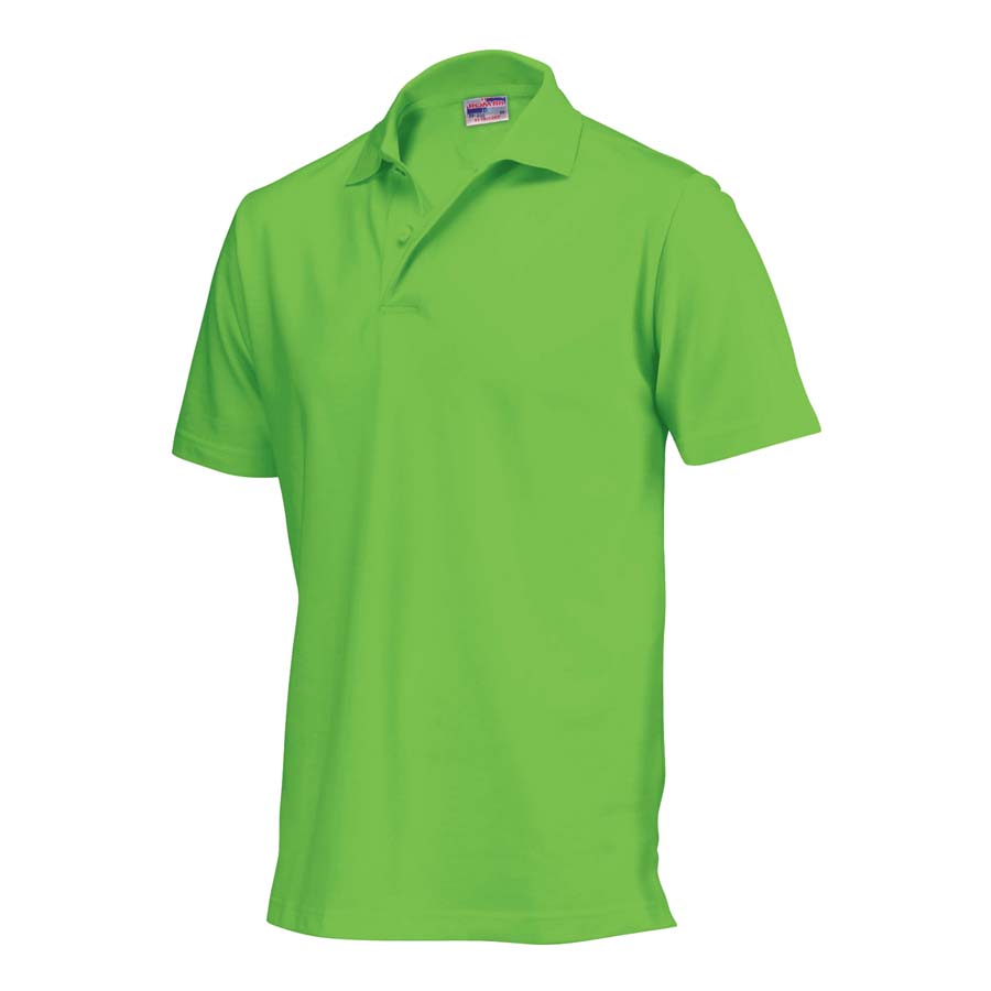 Overzicht van Polo's