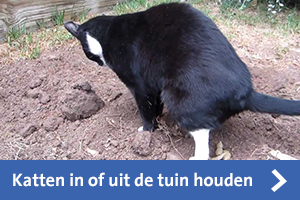 katten in of uit de tuin houden
