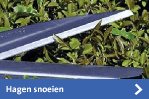 Hagen snoeien