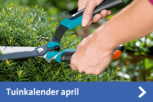 Tuinkalender april