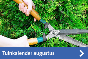 tuinkalender