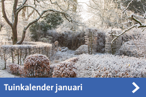 tuinkalender januari tegel