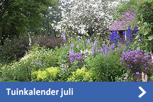 Tuinkalender juli