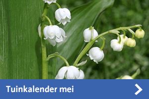 Tuinkalender mei
