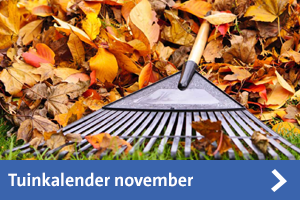 Tuinkalender november