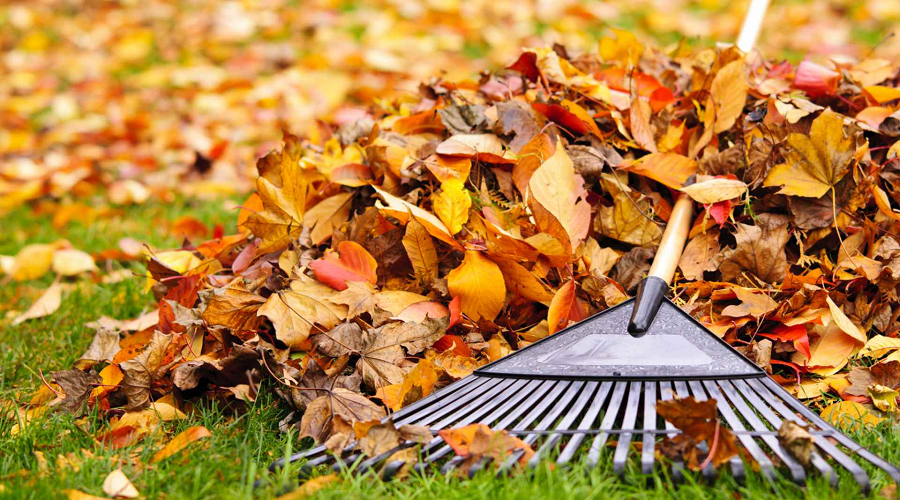 Tuinkalender november