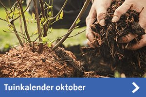Tuinkalender oktober
