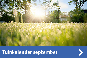 tuinkalender september
