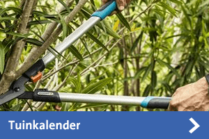 Klusadvies tuinkalender
