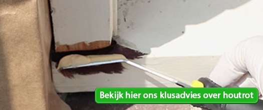 Bekijk hier ons klusadvies over Houtrot